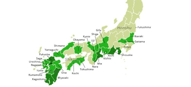 Green tea regions